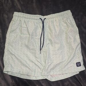 Stylish Light Green Swim Trunks